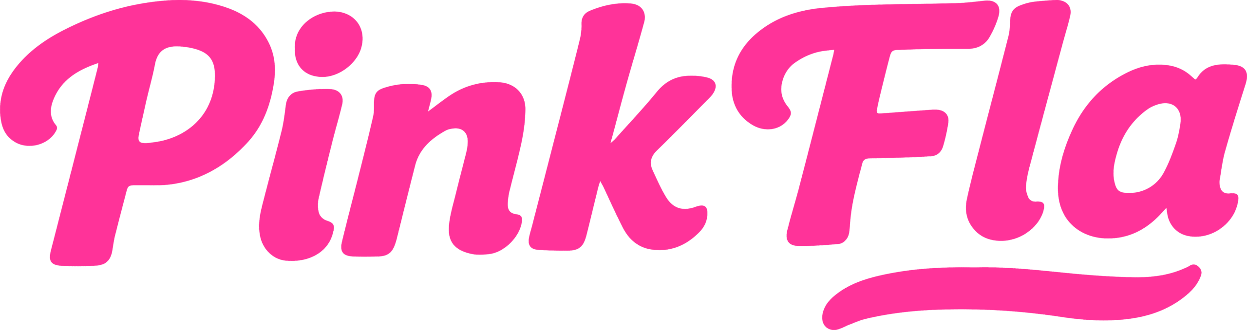 pink fla logo